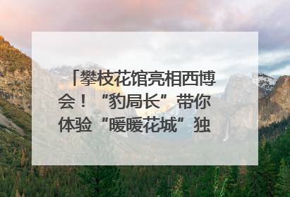 攀枝花馆亮相西博会！“豹局长”带你体验“暖暖花城”独特魅力｜西博视界