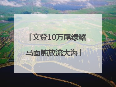 文登10万尾绿鳍马面鲀放流大海