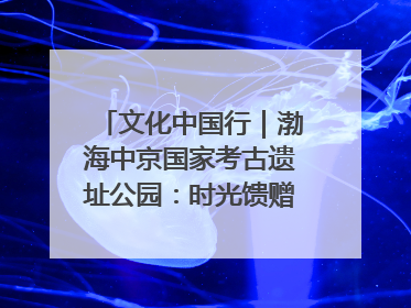 文化中国行｜渤海中京国家考古遗址公园：时光馈赠的宝藏 历史凝固的诗篇