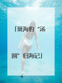 斑海豹“汤圆”归海记