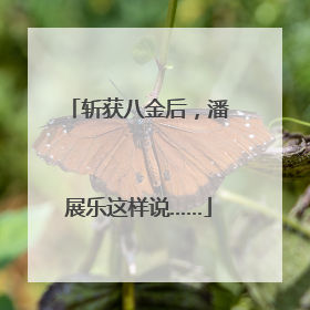 斩获八金后，潘展乐这样说……