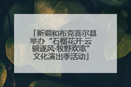 新疆和布克赛尔县举办“石榴花开·云骥逐风·牧野欢歌”文化演出季活动