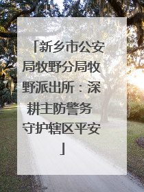 新乡市公安局牧野分局牧野派出所：深耕主防警务 守护辖区平安