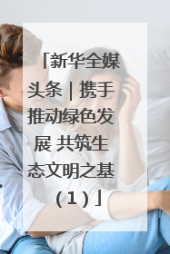 新华全媒头条｜携手推动绿色发展 共筑生态文明之基（1）