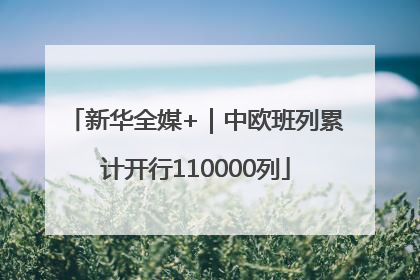 新华全媒+｜中欧班列累计开行110000列