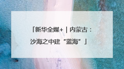 新华全媒+｜内蒙古：沙海之中建“蓝海”