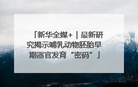 新华全媒+｜最新研究揭示哺乳动物胚胎早期器官发育“密码”
