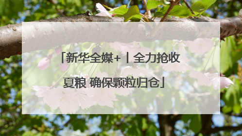 新华全媒+丨全力抢收夏粮 确保颗粒归仓