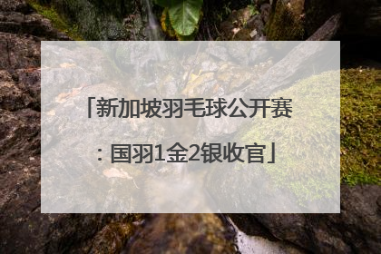 新加坡羽毛球公开赛：国羽1金2银收官