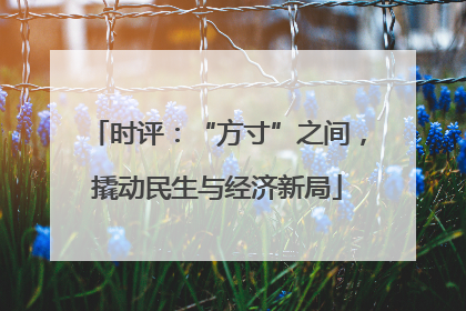 时评：“方寸”之间，撬动民生与经济新局