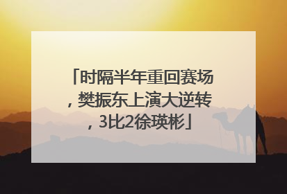 时隔半年重回赛场，樊振东上演大逆转，3比2徐瑛彬