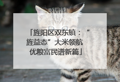 旌阳区双东镇：“旌益态”大米领航 优粮富民谱新篇