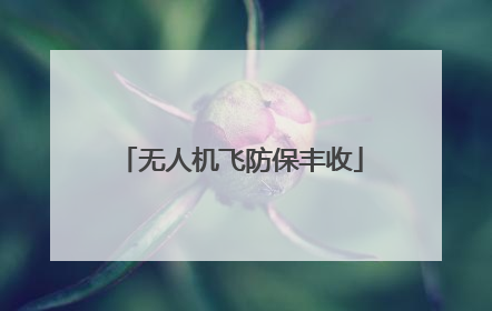 无人机飞防保丰收