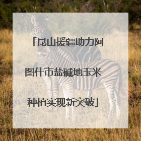 昆山援疆助力阿图什市盐碱地玉米种植实现新突破