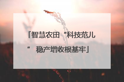 智慧农田“科技范儿” 稳产增收根基牢