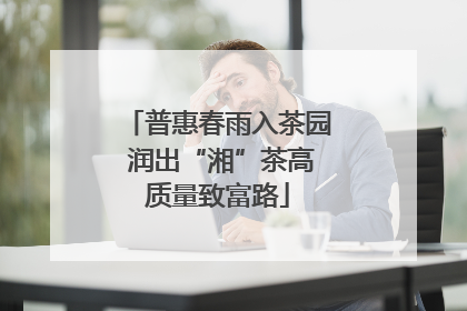 普惠春雨入茶园 润出“湘”茶高质量致富路