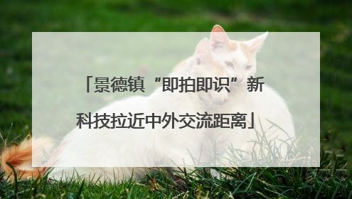 景德镇“即拍即识”新科技拉近中外交流距离