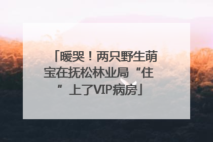 暖哭！两只野生萌宝在抚松林业局“住”上了VIP病房