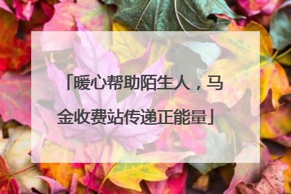 暖心帮助陌生人，马金收费站传递正能量