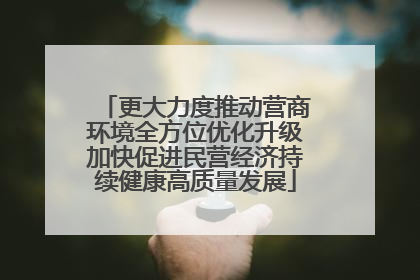 更大力度推动营商环境全方位优化升级加快促进民营经济持续健康高质量发展