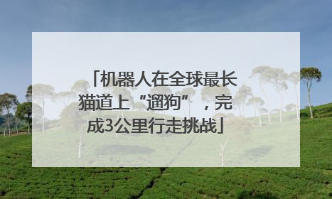 机器人在全球最长猫道上“遛狗”，完成3公里行走挑战