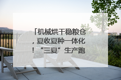 机械烘干稳粮仓，夏收夏种一体化！“三夏”生产跑出加速度｜麦报