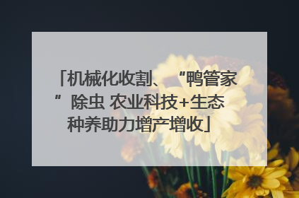 机械化收割、“鸭管家”除虫 农业科技+生态种养助力增产增收