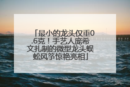最小的龙头仅重0.6克！手艺人庞希文扎制的微型龙头蜈蚣风筝惊艳亮相