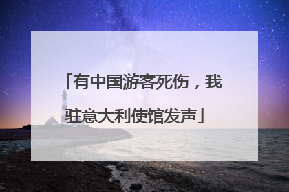 有中国游客死伤，我驻意大利使馆发声