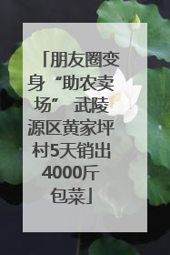 朋友圈变身“助农卖场” 武陵源区黄家坪村5天销出4000斤包菜