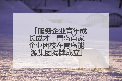 服务企业青年成长成才，青岛首家企业团校在青岛能源集团揭牌成立