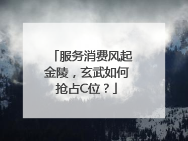 服务消费风起金陵，玄武如何抢占C位？