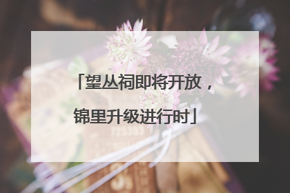 望丛祠即将开放，锦里升级进行时