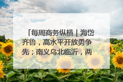 每周商务纵横｜海岱齐鲁，高水平开放勇争先；南义乌北临沂，两扇窗里观外贸