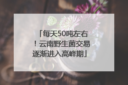 每天50吨左右！云南野生菌交易逐渐进入高峰期