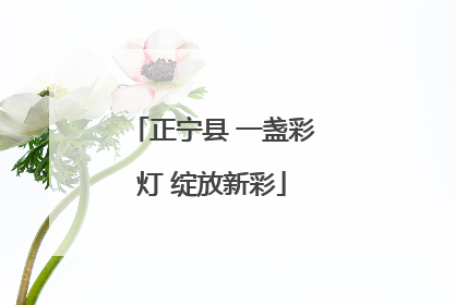 正宁县 一盏彩灯 绽放新彩