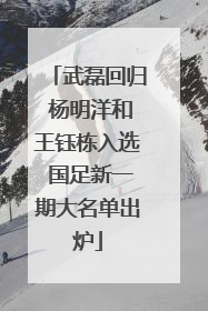 武磊回归 杨明洋和王钰栋入选 国足新一期大名单出炉