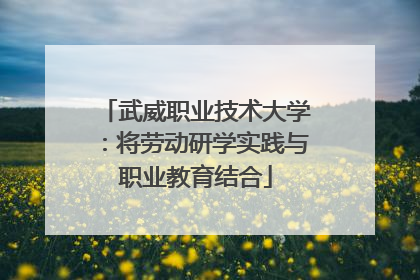 武威职业技术大学：将劳动研学实践与职业教育结合