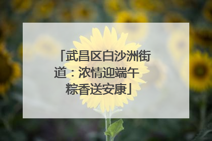 武昌区白沙洲街道：浓情迎端午 粽香送安康
