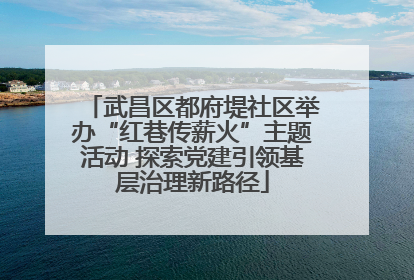 武昌区都府堤社区举办“红巷传薪火”主题活动 探索党建引领基层治理新路径