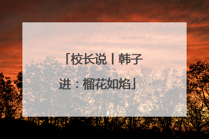 校长说丨韩子进：榴花如焰