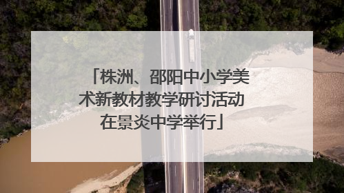 株洲、邵阳中小学美术新教材教学研讨活动在景炎中学举行