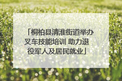 桐柏县清淮街道举办叉车技能培训 助力退役军人及居民就业