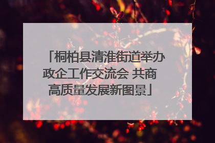 桐柏县清淮街道举办政企工作交流会 共商高质量发展新图景