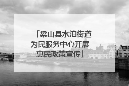 梁山县水泊街道为民服务中心开展惠民政策宣传