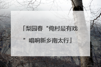 梨园春“俺村最有戏”唱响新乡南太行