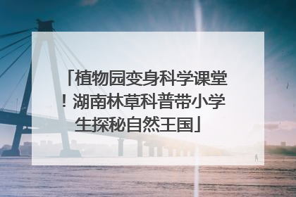 植物园变身科学课堂！湖南林草科普带小学生探秘自然王国