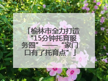 榆林市全力打造“15分钟托育服务圈”——“家门口有了托育点”