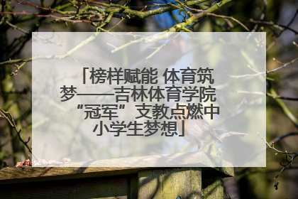 榜样赋能 体育筑梦——吉林体育学院“冠军”支教点燃中小学生梦想