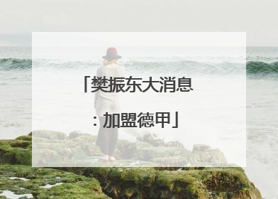 樊振东大消息：加盟德甲